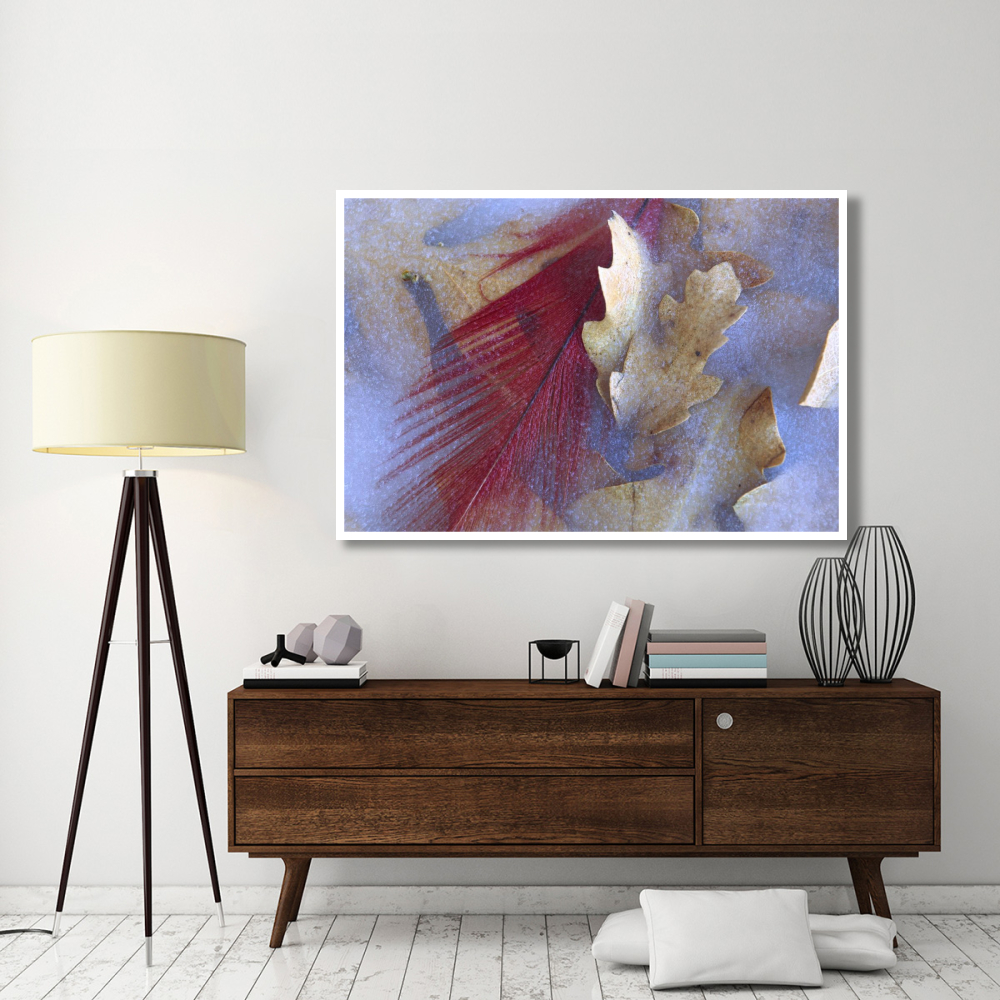 Northern Cardinal feather and Oak leaves frozen in ice, Arizona-Paper Art-62&quotx42"