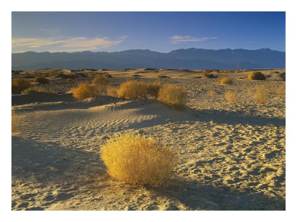 Mesquite Flat Sand Dunes, Death Valley National Park, California-Paper Art-26"x20"