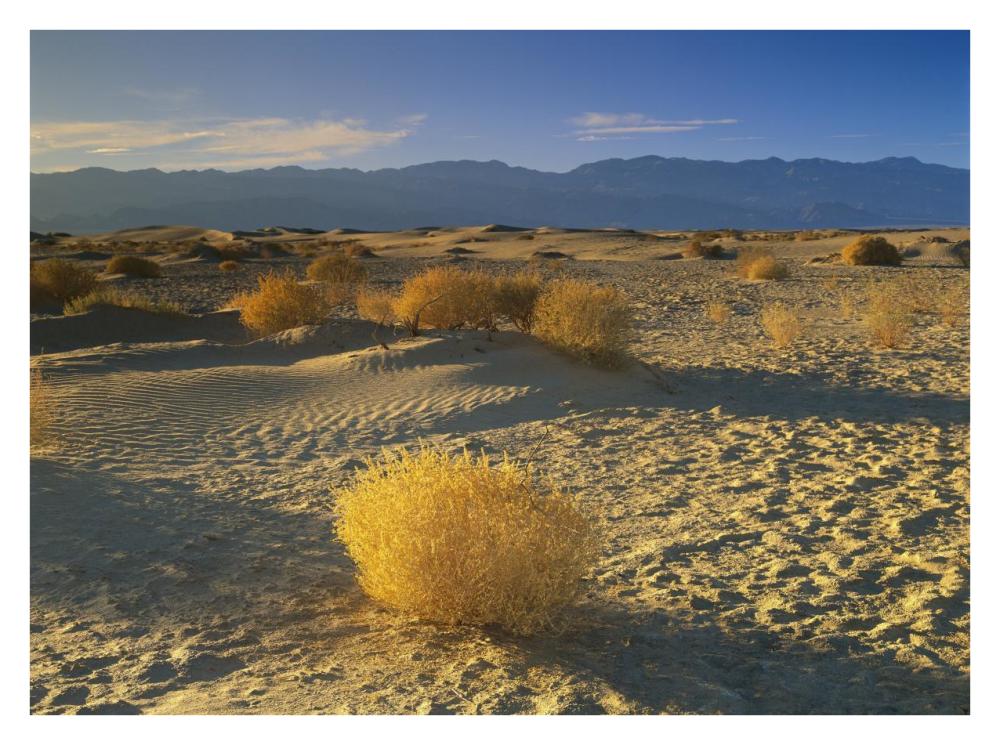 Mesquite Flat Sand Dunes, Death Valley National Park, California-Paper Art-34"x26"