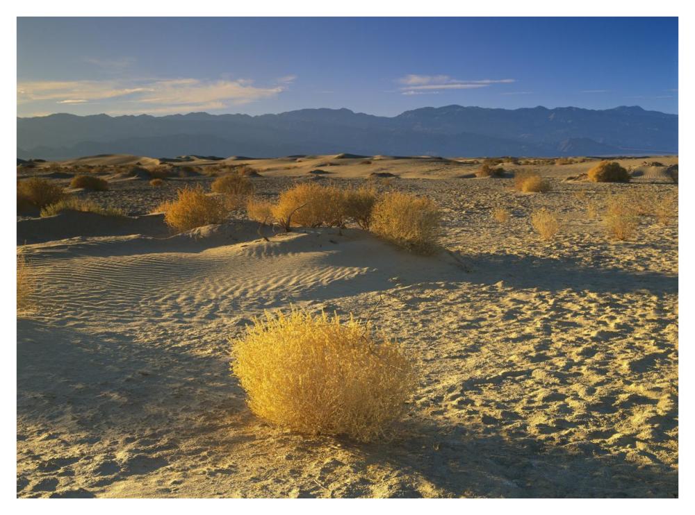 Mesquite Flat Sand Dunes, Death Valley National Park, California-Paper Art-42"x32"