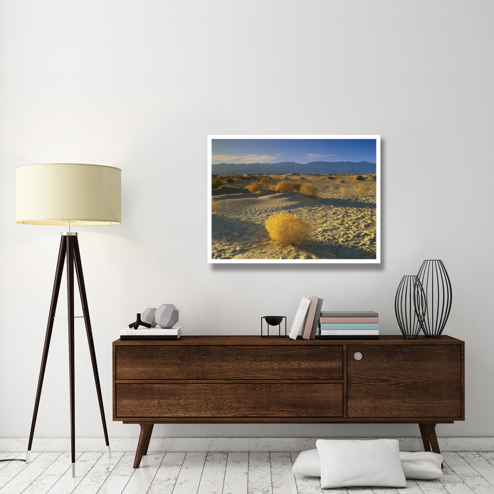 Mesquite Flat Sand Dunes, Death Valley National Park, California-Paper Art-42&quotx32"