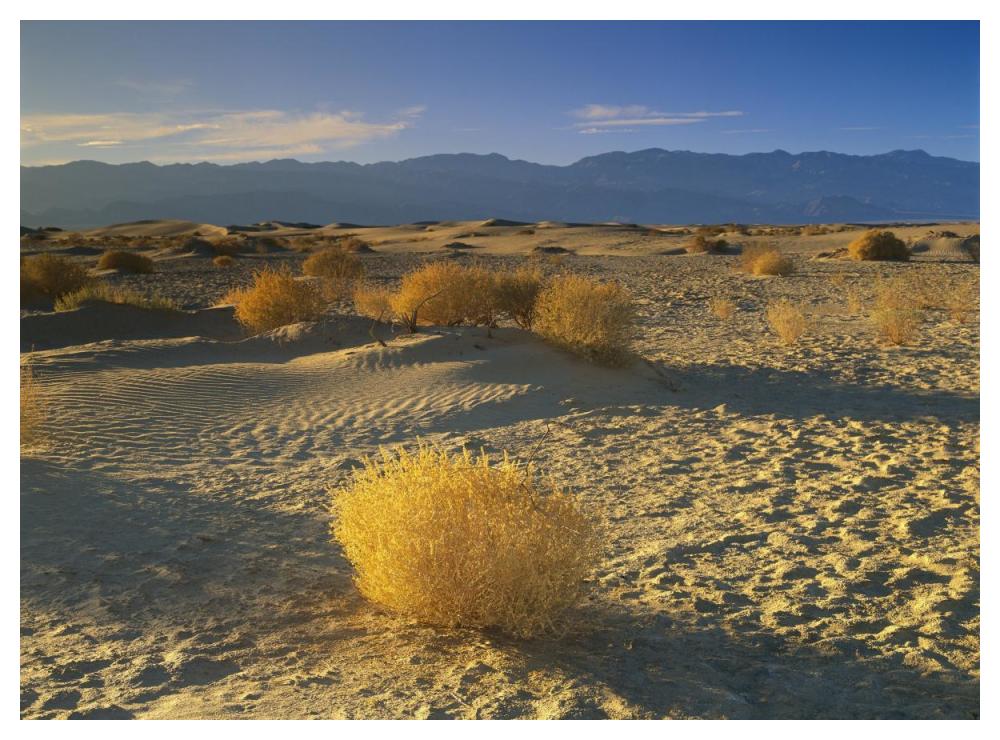 Mesquite Flat Sand Dunes, Death Valley National Park, California-Paper Art-50"x38"