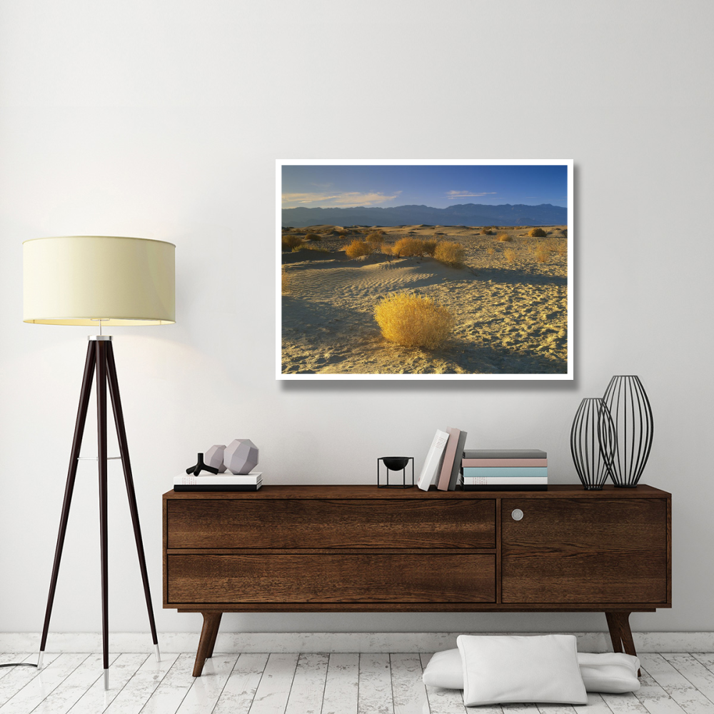Mesquite Flat Sand Dunes, Death Valley National Park, California-Paper Art-50&quotx38"