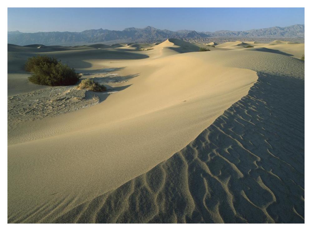 Mesquite Flat Sand Dunes, Death Valley National Park, California-Paper Art-42"x32"