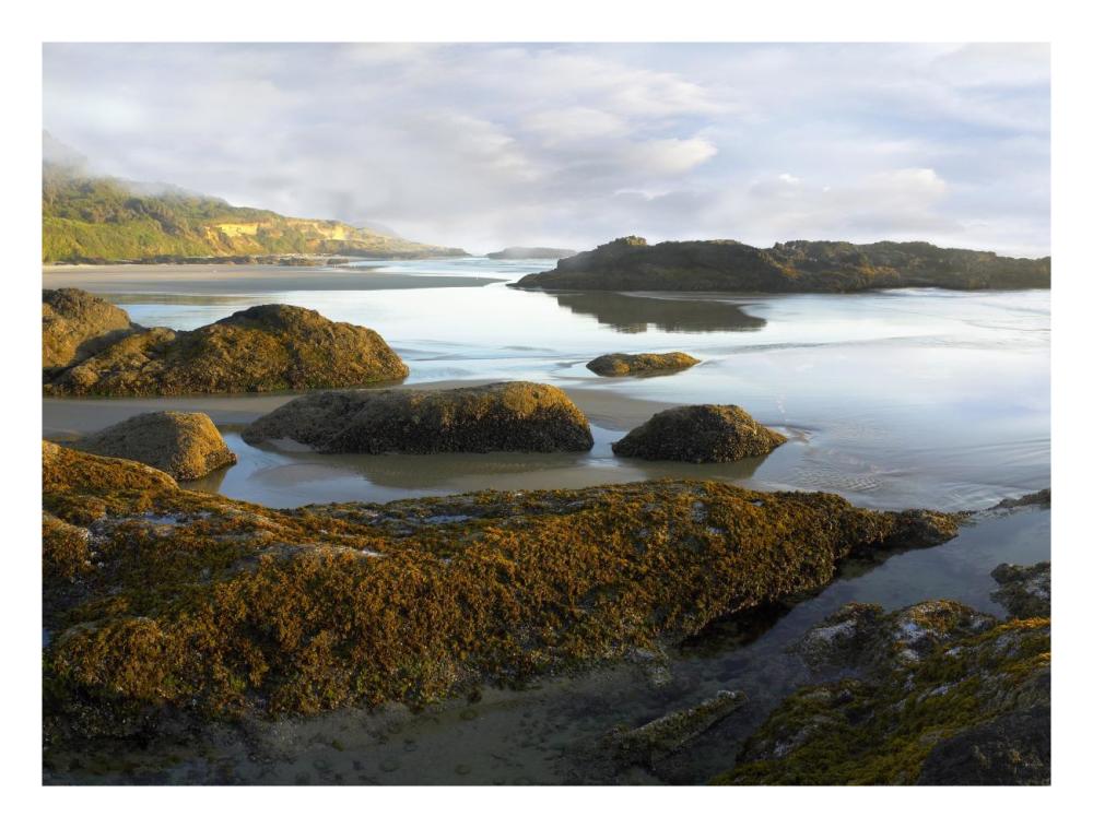 Seaweed covered rocks exposed at low tide, Neptune Beach, Oregon-Paper Art-26"x20"
