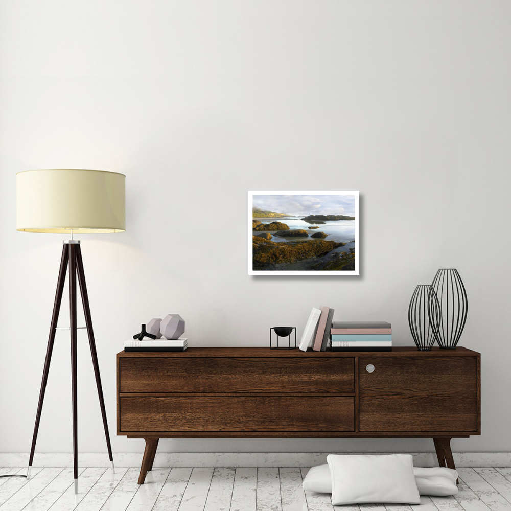 Seaweed covered rocks exposed at low tide, Neptune Beach, Oregon-Paper Art-26&quotx20"
