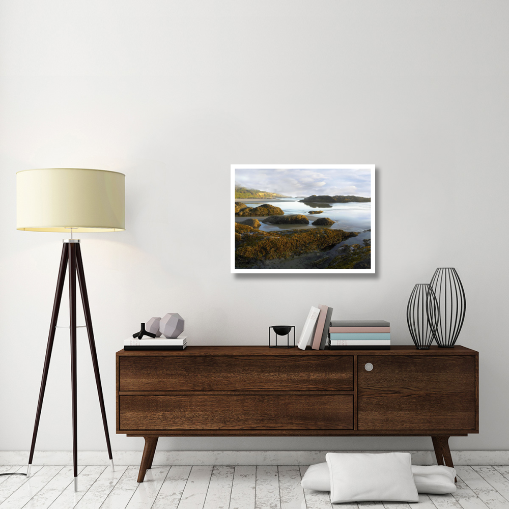 Seaweed covered rocks exposed at low tide, Neptune Beach, Oregon-Paper Art-34&quotx26"
