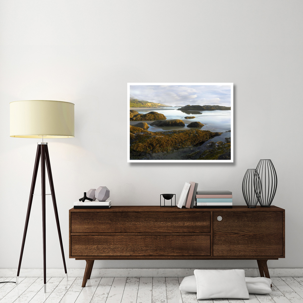 Seaweed covered rocks exposed at low tide, Neptune Beach, Oregon-Paper Art-42&quotx32"