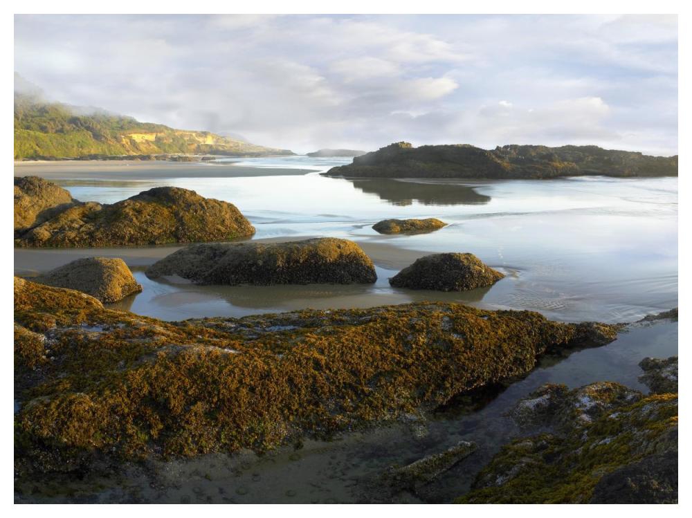 Seaweed covered rocks exposed at low tide, Neptune Beach, Oregon-Paper Art-50"x38"