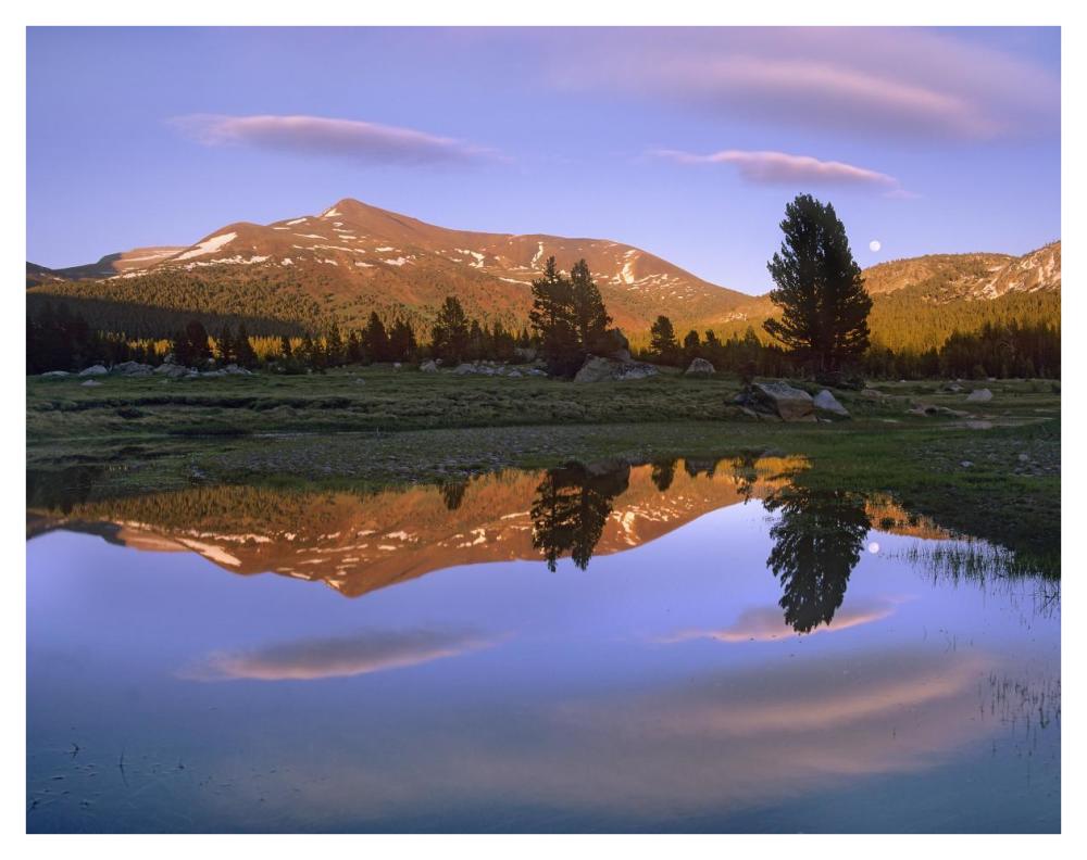 Mount Dana reflected in pond, Yosemite National Park, California-Paper Art-42"x32"
