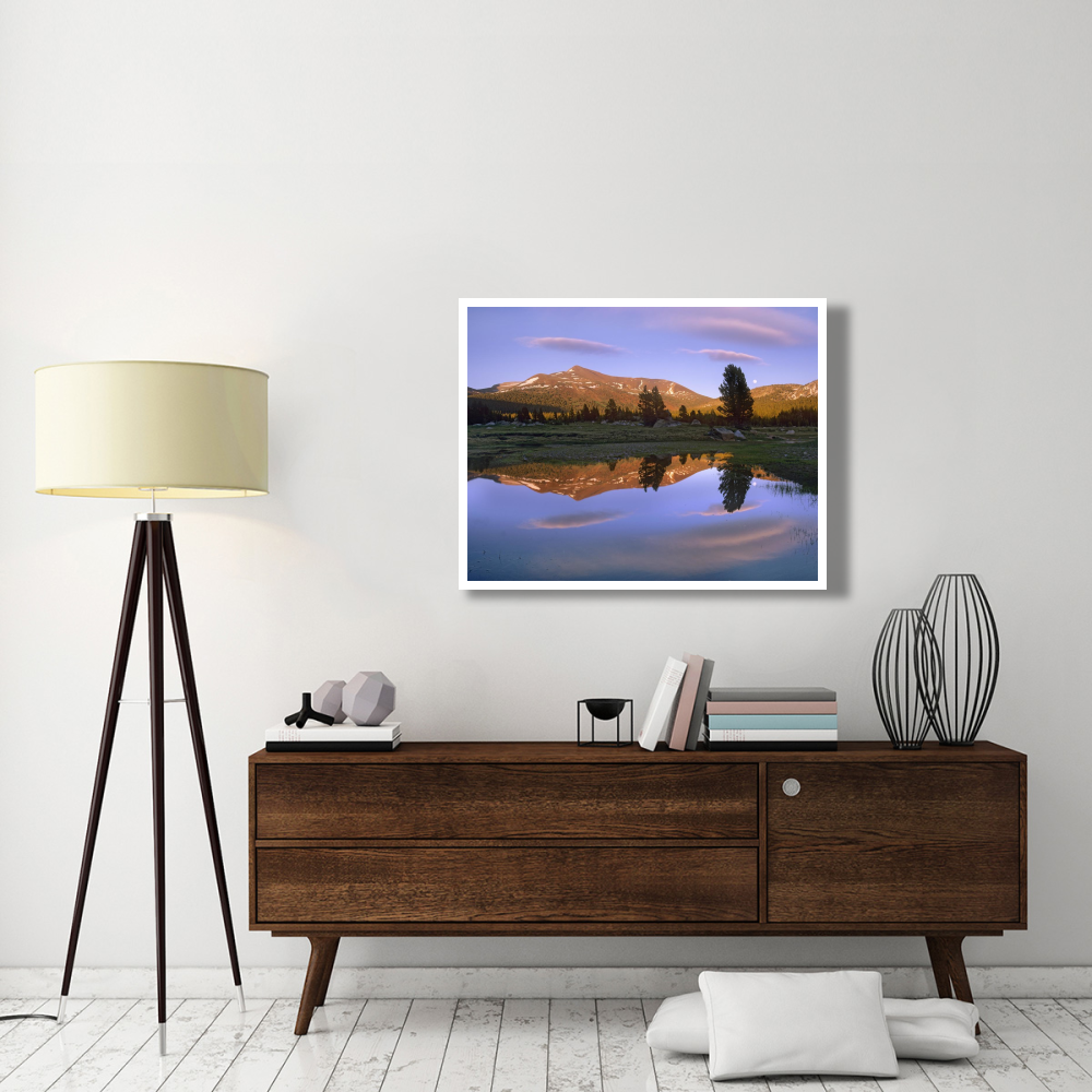 Mount Dana reflected in pond, Yosemite National Park, California-Paper Art-42&quotx32"