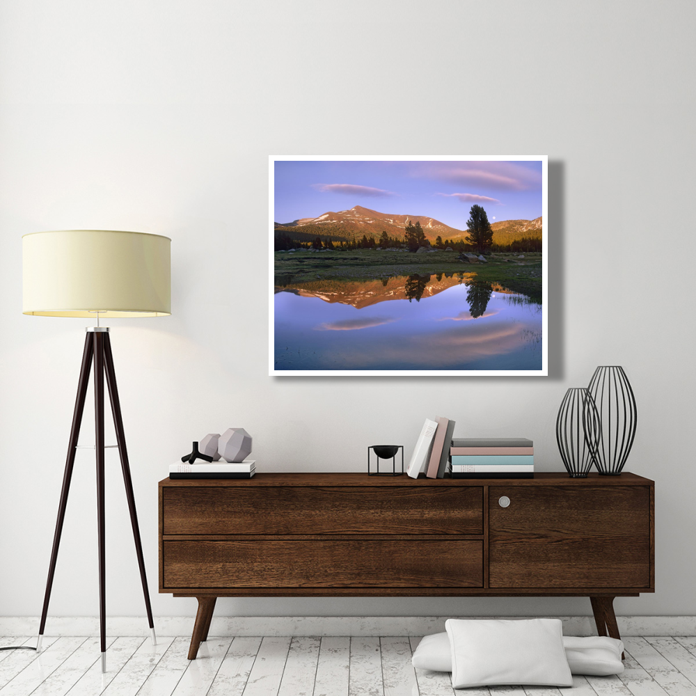 Mount Dana reflected in pond, Yosemite National Park, California-Paper Art-50&quotx38"