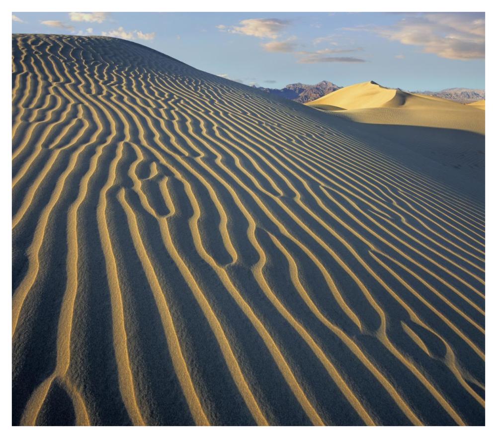 Mesquite Flat Sand Dunes, Death Valley National Park, California-Paper Art-42"x37.2"