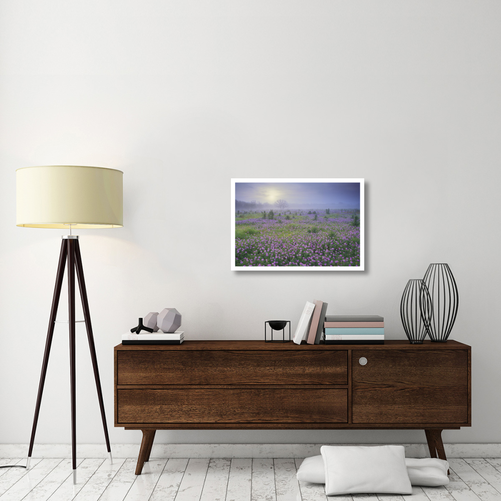 Sand Verbena flower field at sunrise in fog, Hill Country, Texas-Paper Art-32&quotx22"