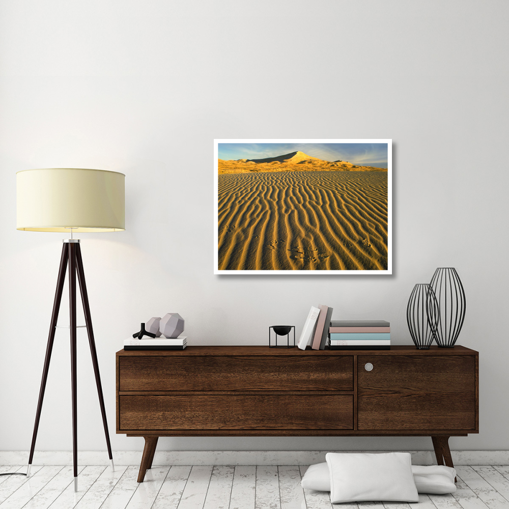 Wind ripples in Kelso Dunes, Mojave National Preserve, California-Paper Art-42&quotx32"