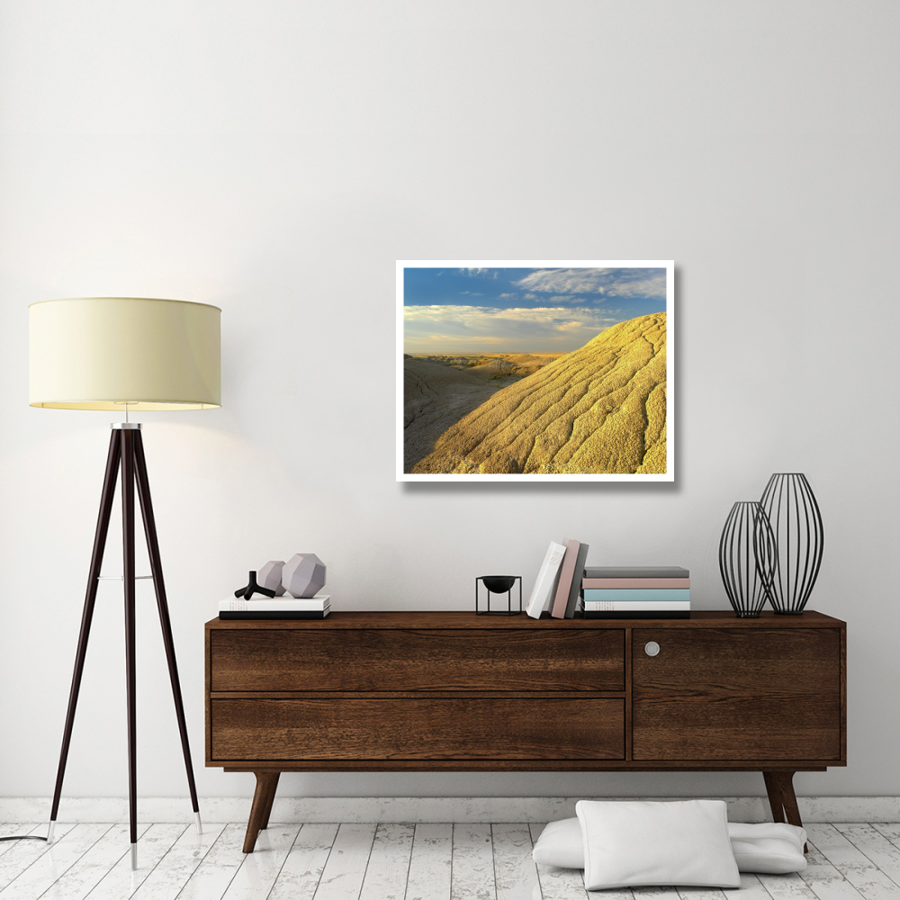 Detail of erosional feature, Badlands National Park, South Dakota-Paper Art-37&quotx30"