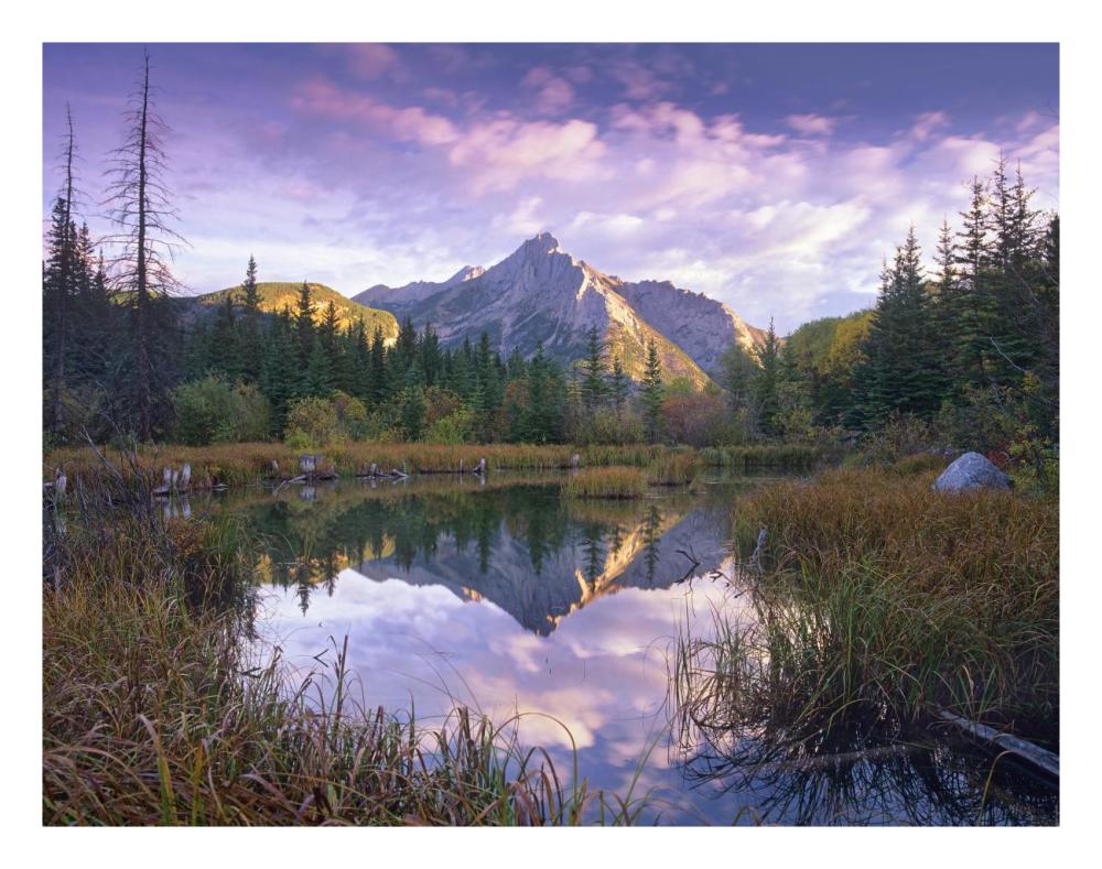Mount Lorette and spruce trees reflected in lake, Alberta, Canada-Paper Art-26"x20"