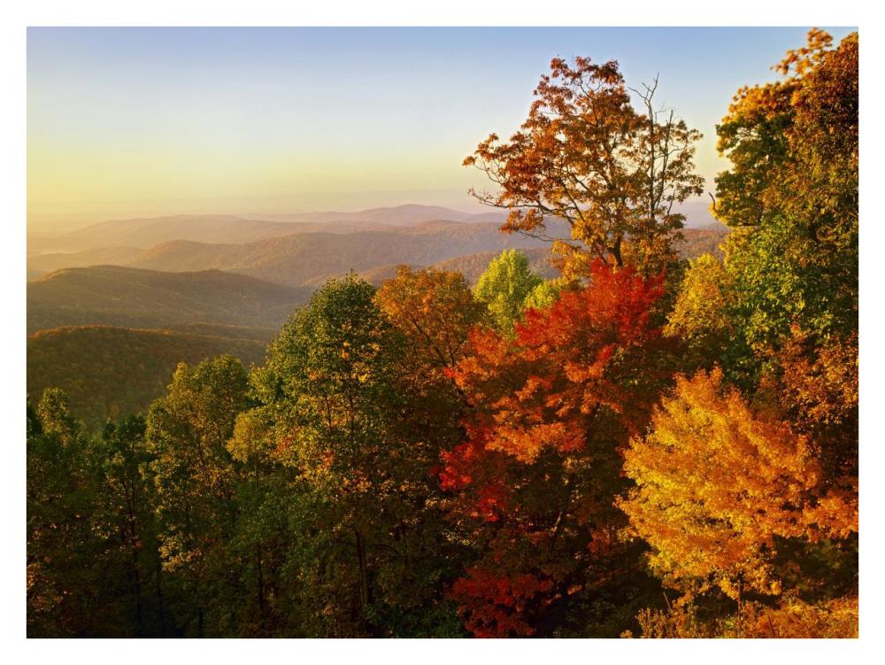 Blue Ridge Mountains from Bluff Mountain Overlook, North Carolina-Paper Art-34"x26"