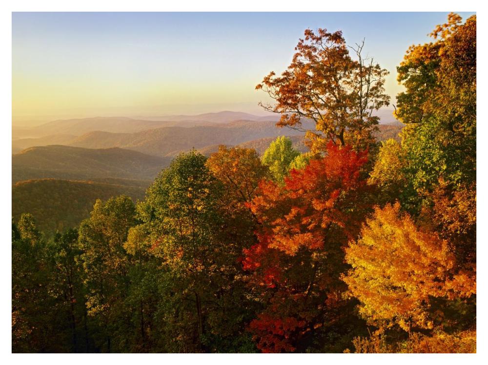 Blue Ridge Mountains from Bluff Mountain Overlook, North Carolina-Paper Art-42"x32"