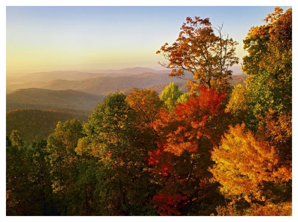 Blue Ridge Mountains from Bluff Mountain Overlook, North Carolina-Paper Art-50"x38"