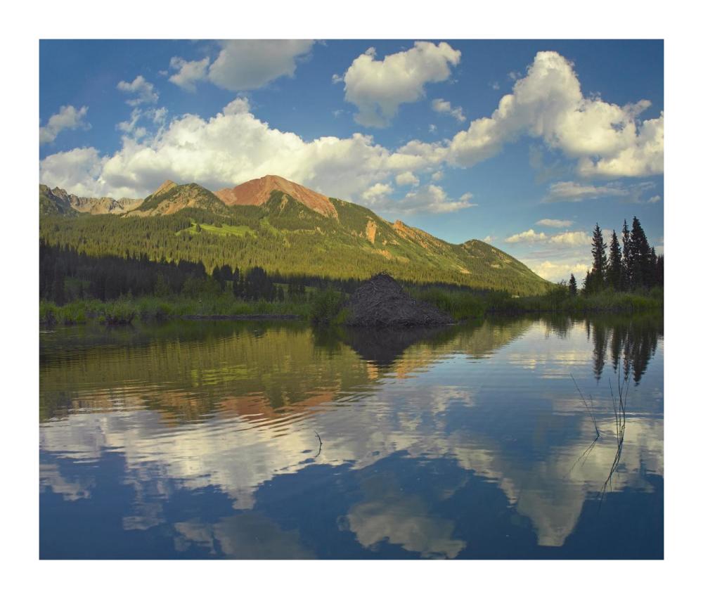 Avery Peak reflected in beaver pond, San Juan Mountains, Colorado-Paper Art-18"x15.28"