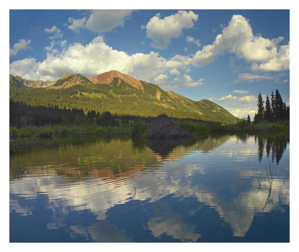 Avery Peak reflected in beaver pond, San Juan Mountains, Colorado-Paper Art-32"x26.9"