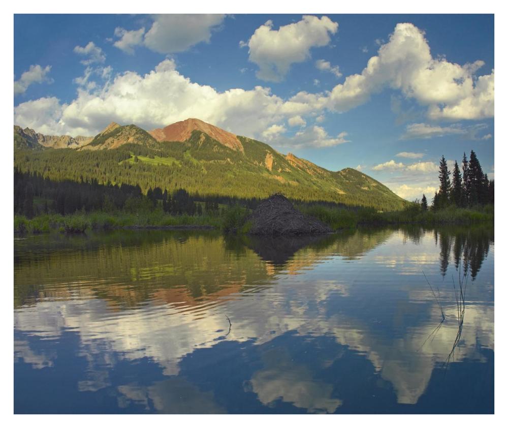 Avery Peak reflected in beaver pond, San Juan Mountains, Colorado-Paper Art-38"x31.88"