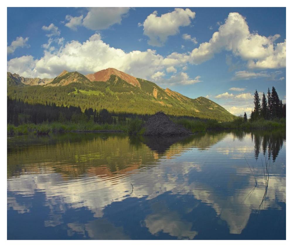 Avery Peak reflected in beaver pond, San Juan Mountains, Colorado-Paper Art-42"x35.2"