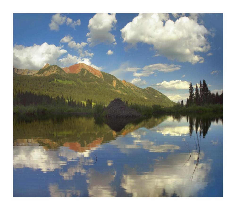 Avery Peak reflected in beaver pond, San Juan Mountains, Colorado-Paper Art-18"x16.08"