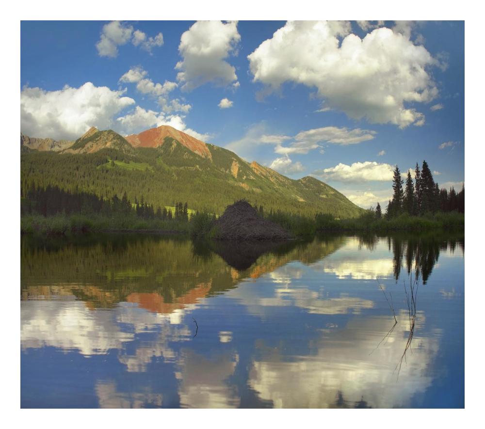 Avery Peak reflected in beaver pond, San Juan Mountains, Colorado-Paper Art-24"x21.36"