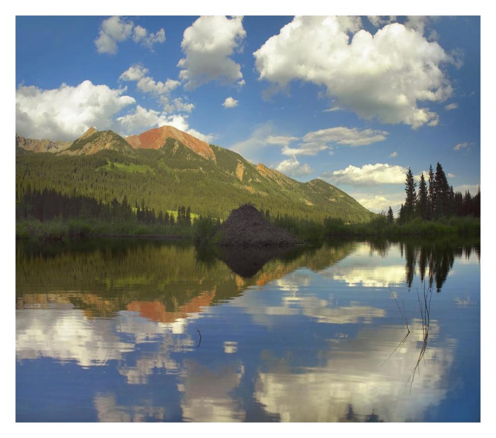Avery Peak reflected in beaver pond, San Juan Mountains, Colorado-Paper Art-32"x28.4"
