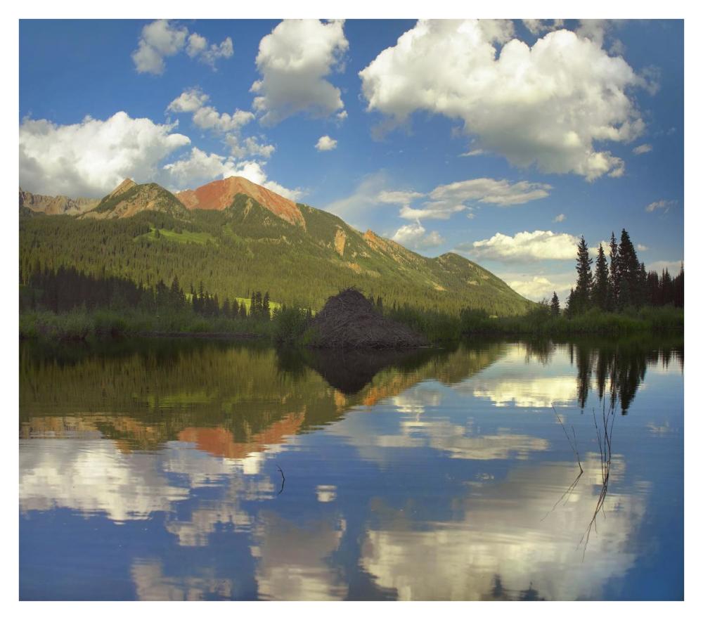 Avery Peak reflected in beaver pond, San Juan Mountains, Colorado-Paper Art-38"x33.68"