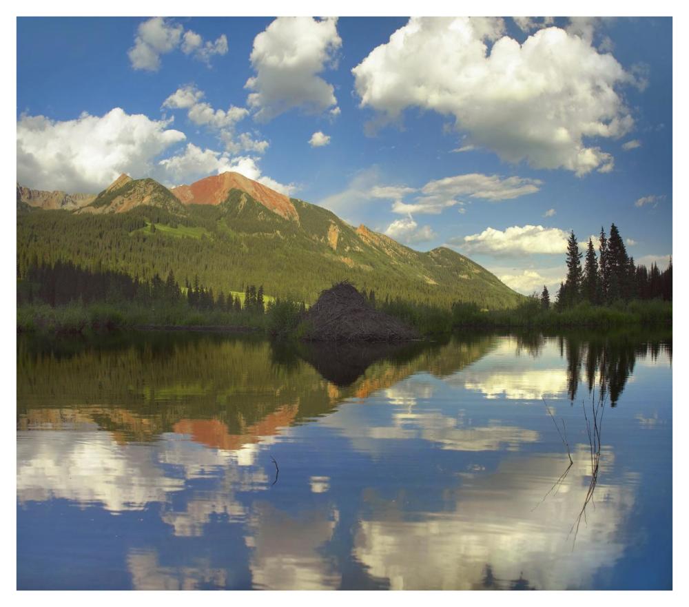 Avery Peak reflected in beaver pond, San Juan Mountains, Colorado-Paper Art-42"x37.2"