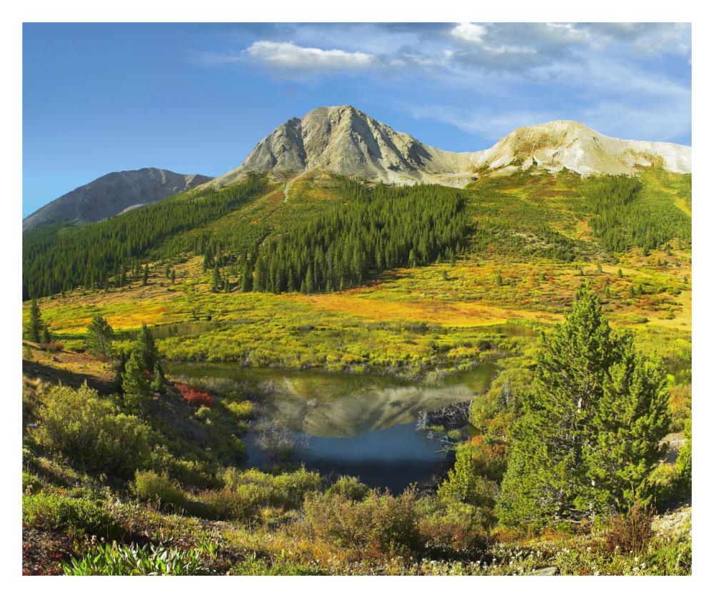 Pond and Green Mountain, Green Mountain National Forest, Colorado-Paper Art-32"x26.9"