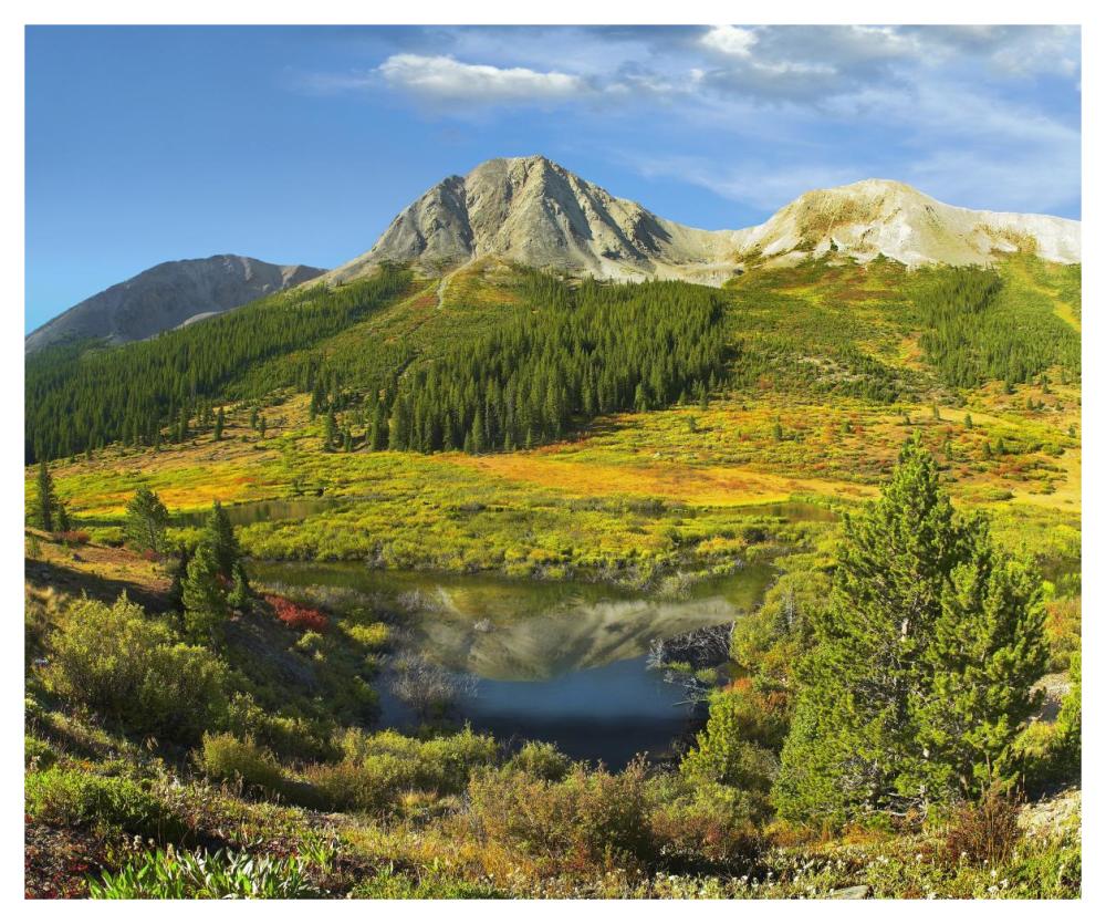 Pond and Green Mountain, Green Mountain National Forest, Colorado-Paper Art-46"x38.52"