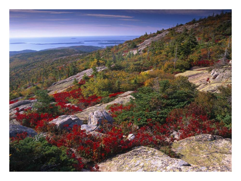 Atlantic coast from Cadillac Mountain, Acadia National Park, Maine-Paper Art-26"x20"