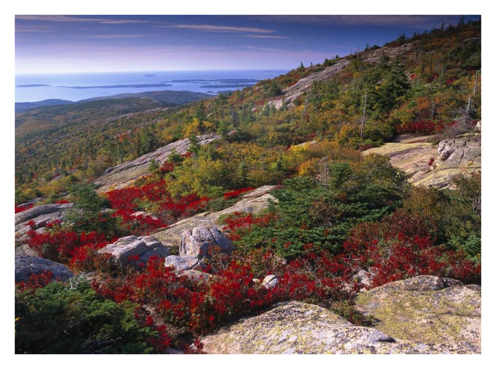 Atlantic coast from Cadillac Mountain, Acadia National Park, Maine-Paper Art-34"x26"