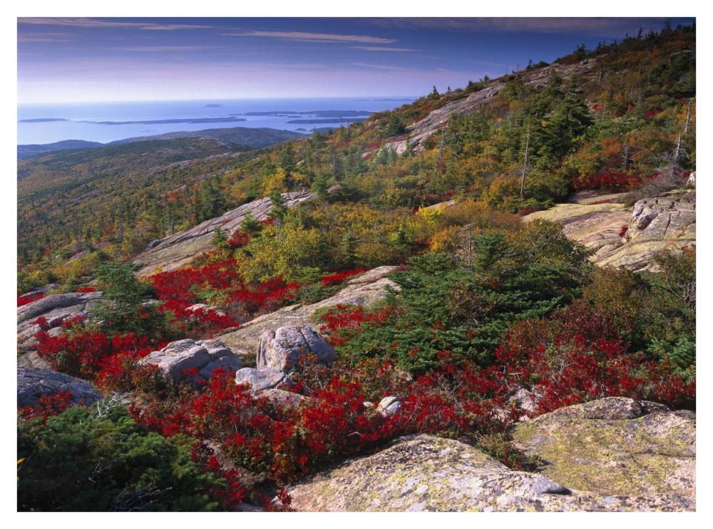 Atlantic coast from Cadillac Mountain, Acadia National Park, Maine-Paper Art-42"x32"