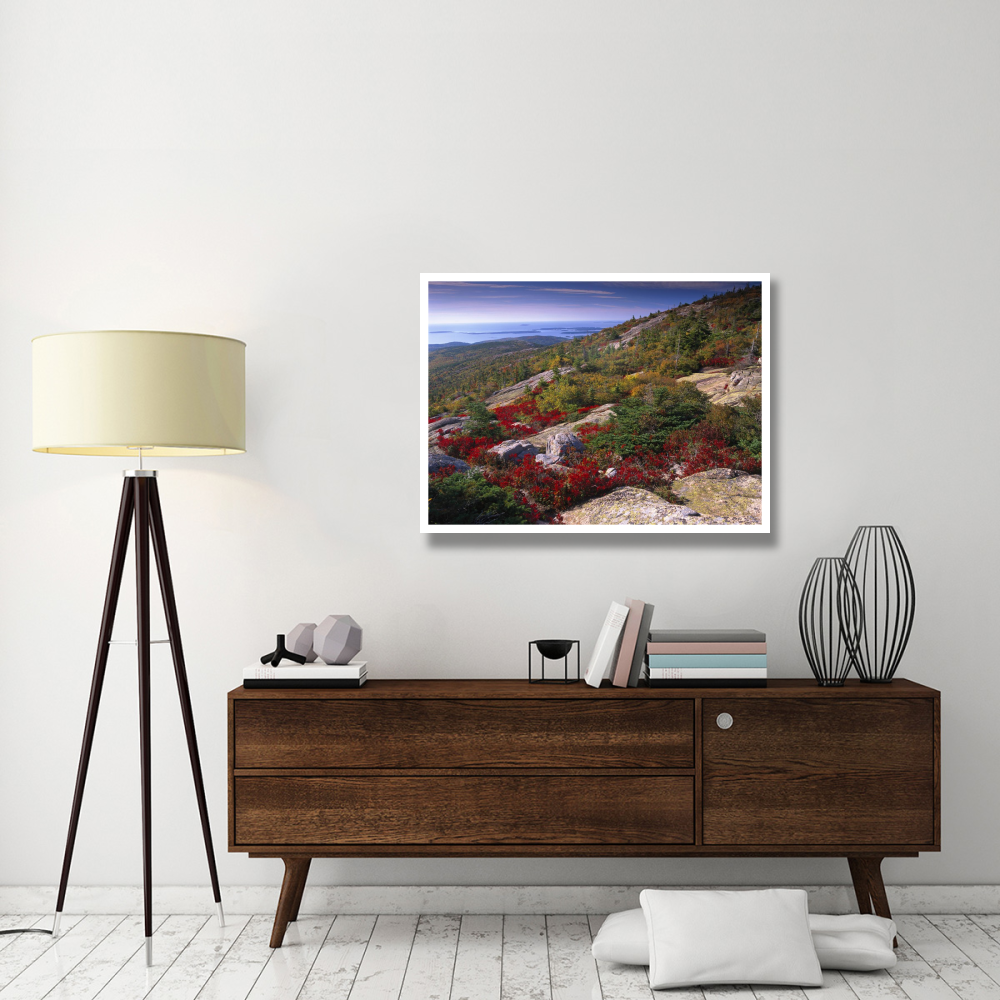 Atlantic coast from Cadillac Mountain, Acadia National Park, Maine-Paper Art-42&quotx32"