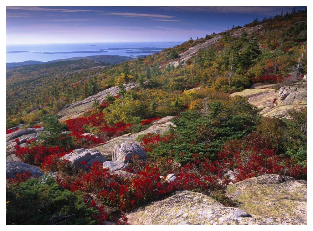 Atlantic coast from Cadillac Mountain, Acadia National Park, Maine-Paper Art-50"x38"