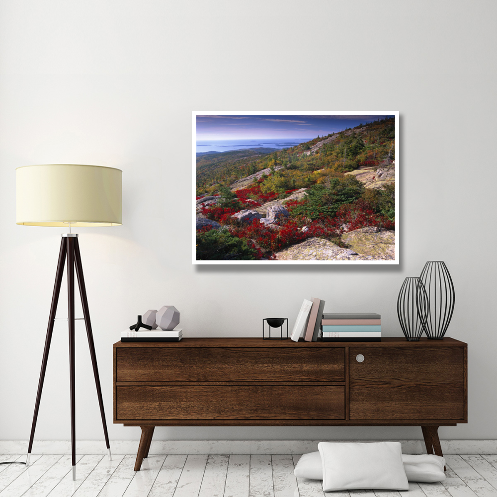Atlantic coast from Cadillac Mountain, Acadia National Park, Maine-Paper Art-50&quotx38"