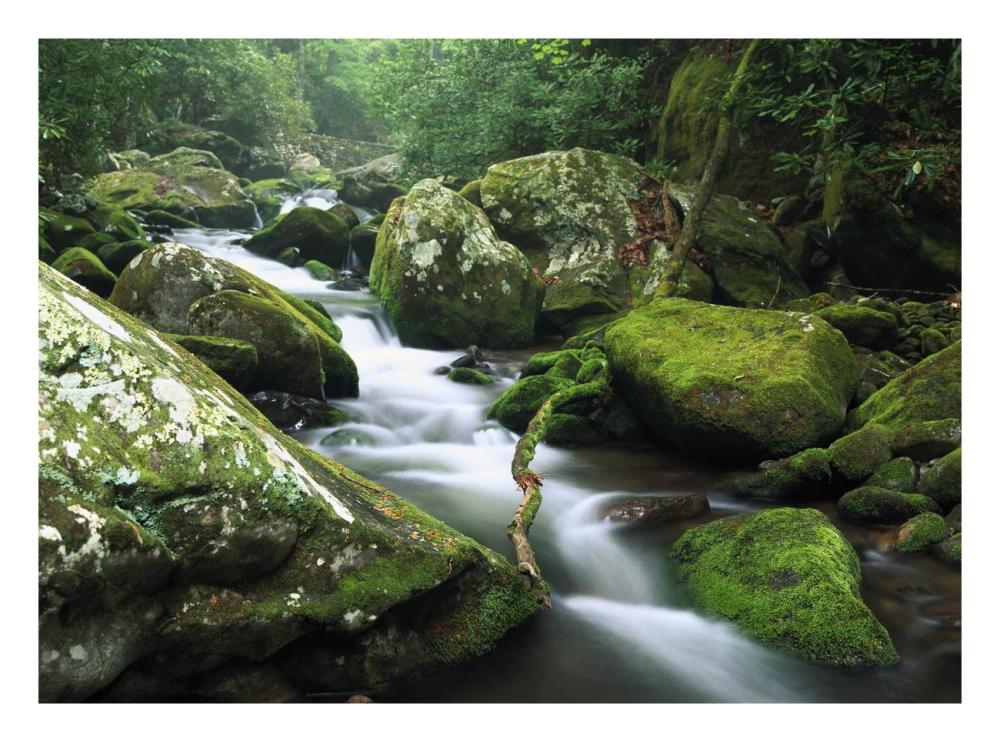Roaring fork river, Great Smoky Mountains National Park, Tennessee-Paper Art-26"x20"