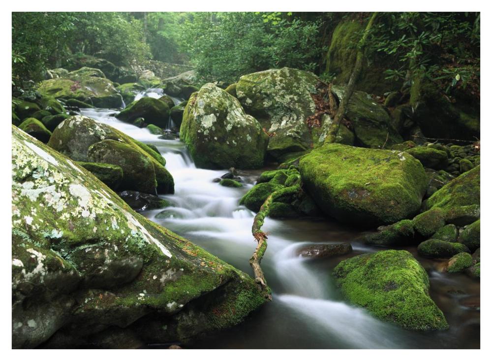 Roaring fork river, Great Smoky Mountains National Park, Tennessee-Paper Art-42"x32"