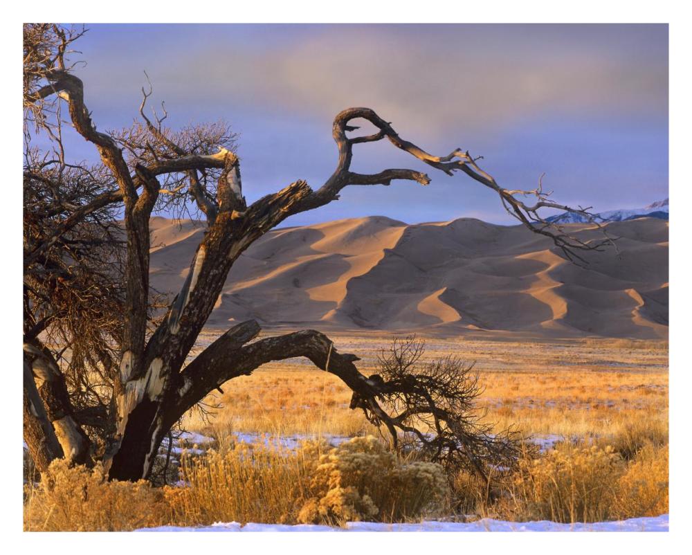 Grasslands and dunes, Great Sand Dunes National Monument, Colorado-Paper Art-30"x24"
