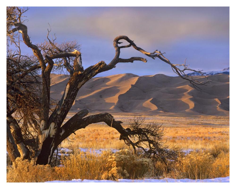 Grasslands and dunes, Great Sand Dunes National Monument, Colorado-Paper Art-37"x30"