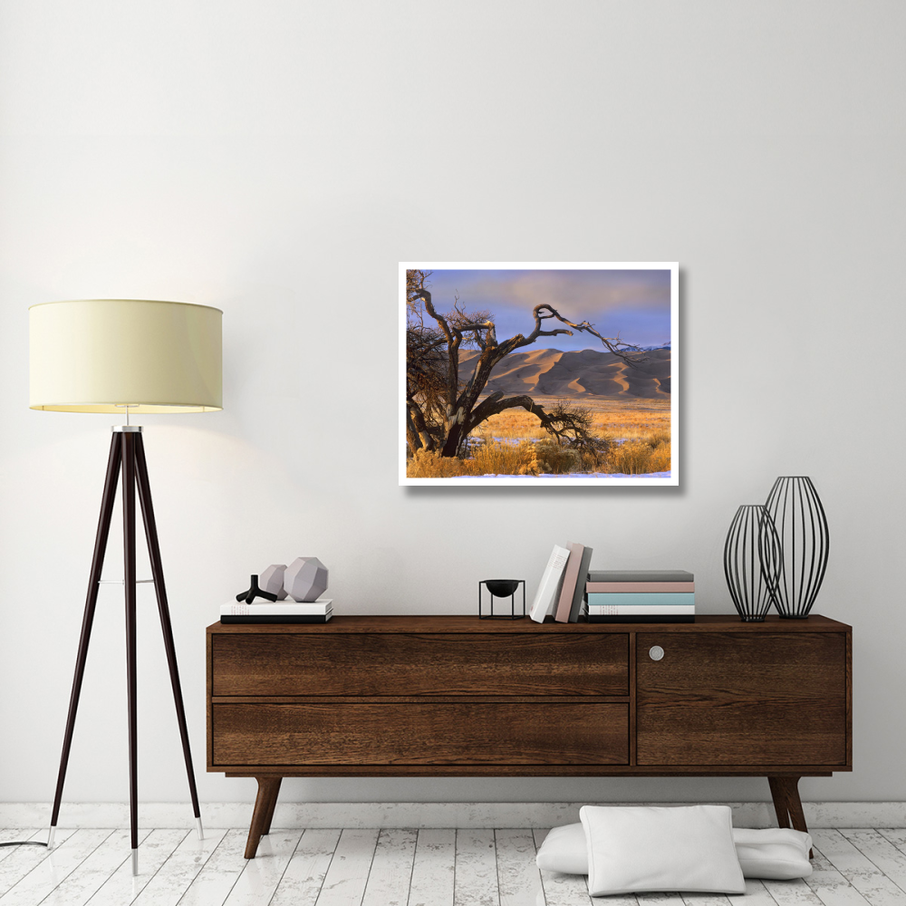 Grasslands and dunes, Great Sand Dunes National Monument, Colorado-Paper Art-37&quotx30"
