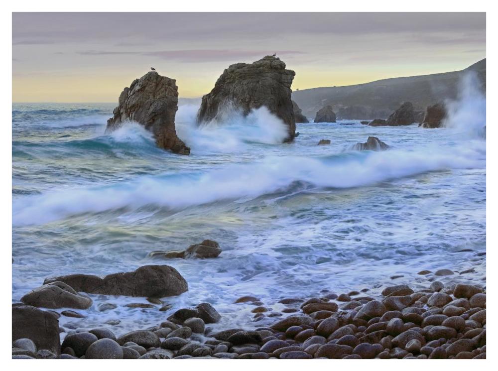 Cove and seastacks near Garrapata State, Beach Big Sur, California-Paper Art-42"x32"