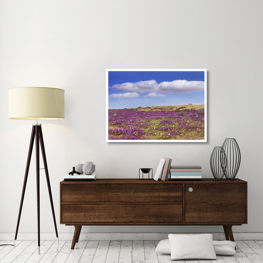 Sand Verbena carpeting the ground, Imperial Sand Dunes, California-Paper Art-46&quotx33.24"