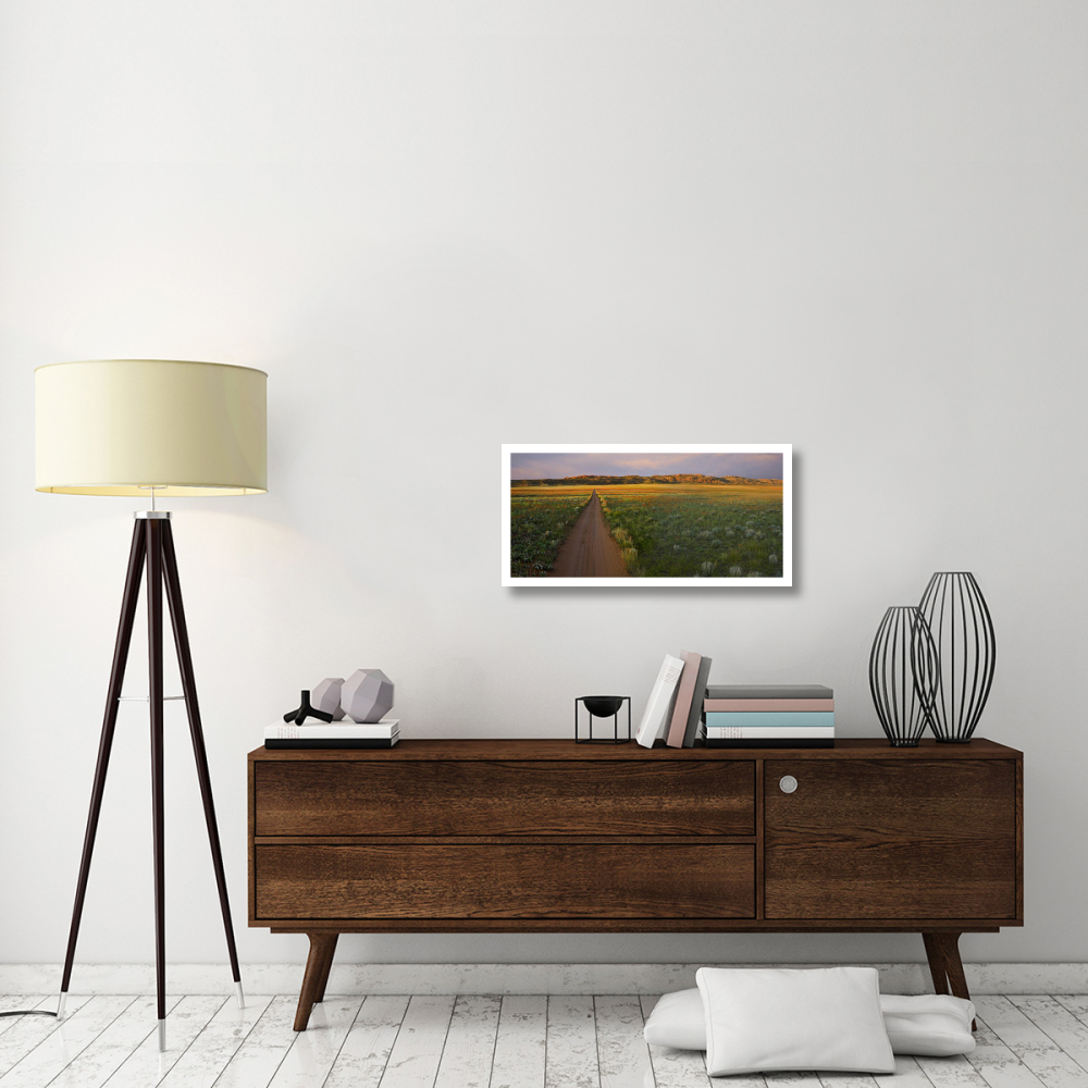 Dirt road and Globemallows Salt Valley, Arches National Park, Utah-Paper Art-32&quotx15.8"