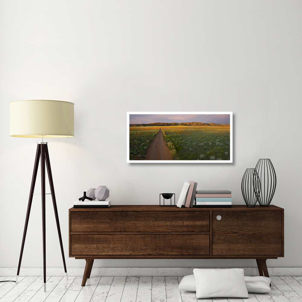 Dirt road and Globemallows Salt Valley, Arches National Park, Utah-Paper Art-42&quotx20.4"
